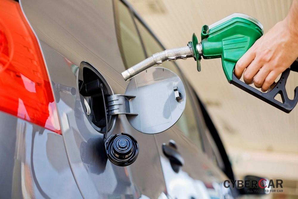 Cách nhận biết xe chạy xăng hay dầu đơn giản, chính xác