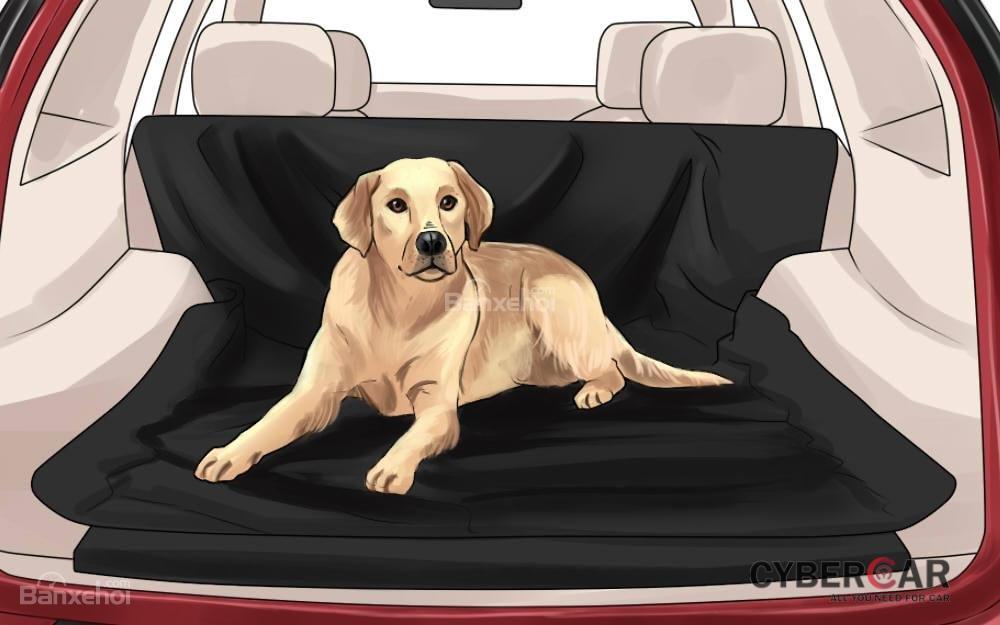 Cách khử mùi hôi của chó trên xe hơi
