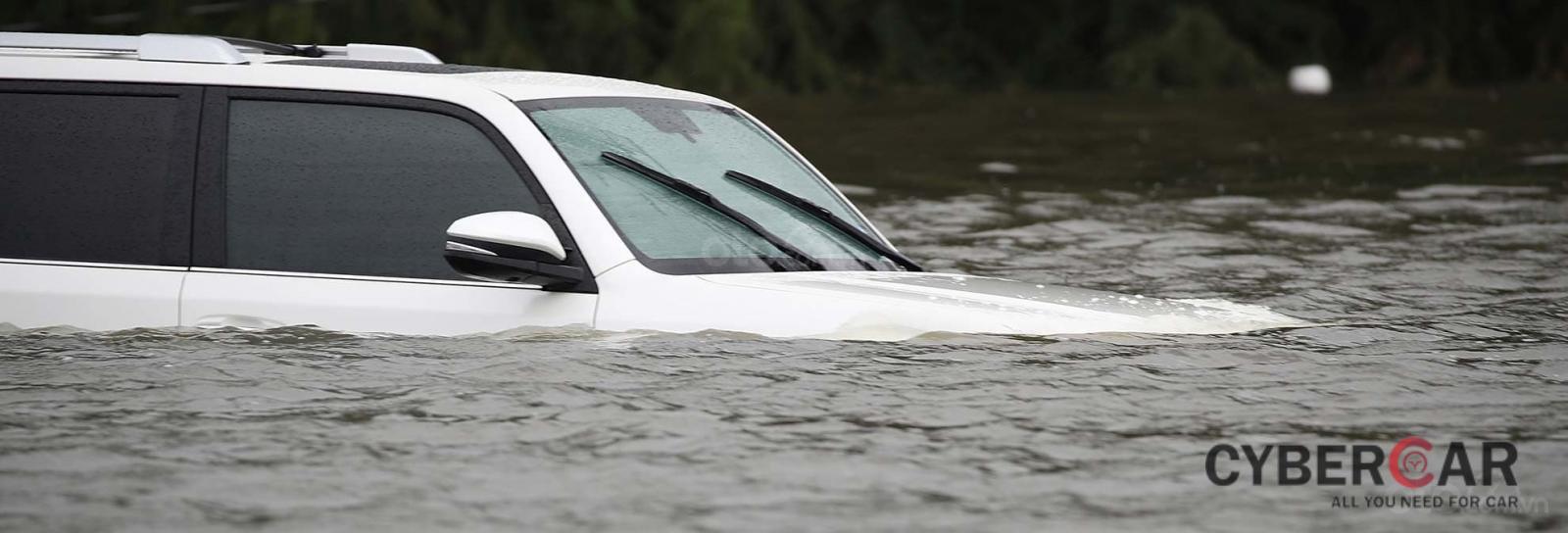 10 điều nên tuân thủ khi ô tô bị ngập nước - Đánh giá độ ngập