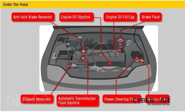 10 điều nên tuân thủ khi ô tô bị ngập nước - Kiểm tra các loại dung dịch trên xe