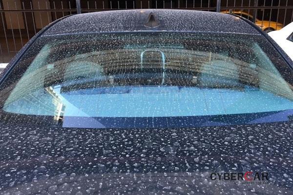 Tác hại của nước mưa đối với ô tô và phương án đối phó: Sau cơn mua, xe có khi bẩn hơn