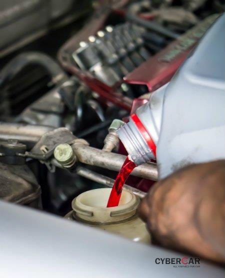 10 hiểu lầm tai hại về bảo trì ô tô - Thay các loại chất lỏng xe đúng định kỳ