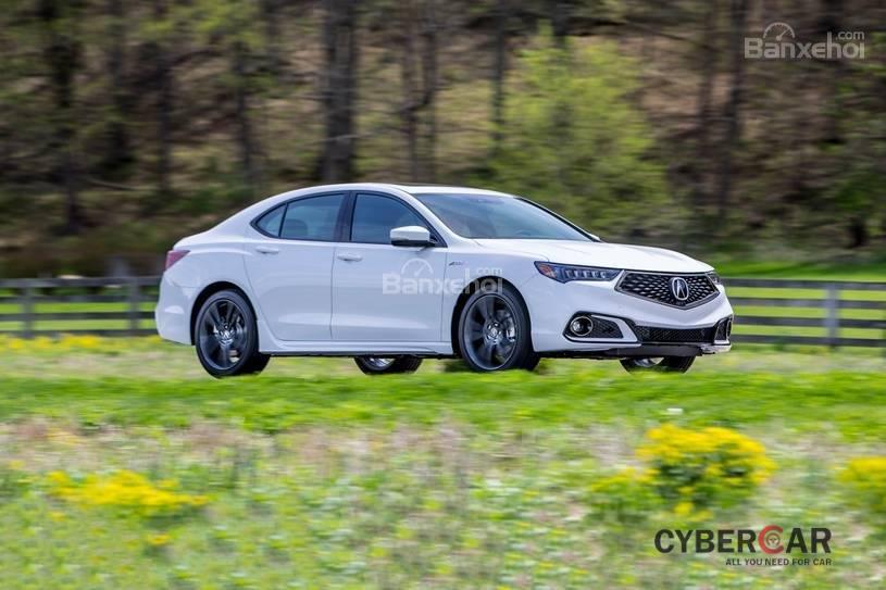 Đánh giá xe Acura TLX 2019 đang chạy màu trắng