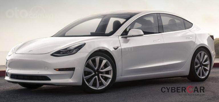 6 mẫu xe mất độ tin dùng từ Consumer Reports: Tesla Model 3 rớt đài