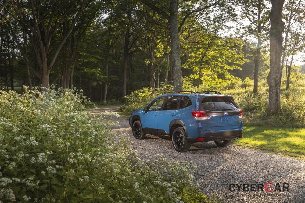 Subaru Forester Wilderness 2022 có gầm cao hơn bản thường