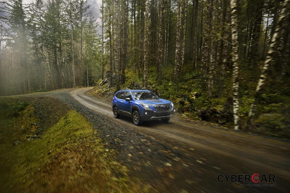 Trên nắp ca-pô của Subaru Forester Wilderness 2022 có cả đề-can chống lóa mắt