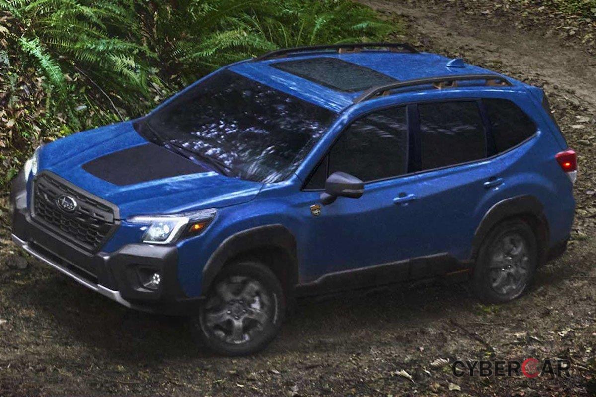 Subaru Forester Wilderness mới nhận được một loạt các nâng cấp để trở nên tốt hơn so với Forester tiêu chuẩn 1.